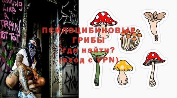 сатива Верхний Тагил