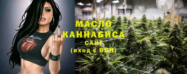 тгк Бородино