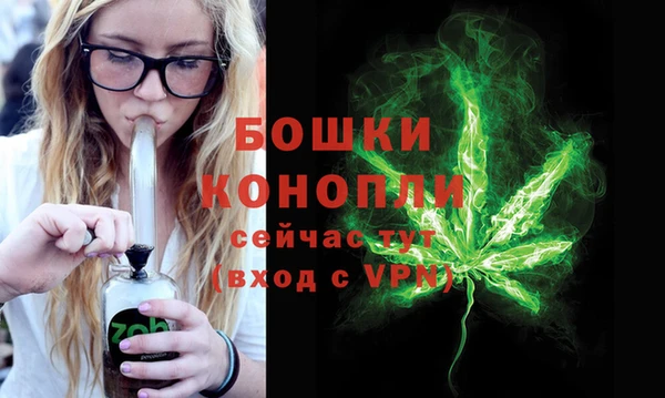 2c-b Тавда