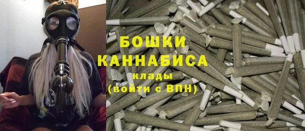 сатива Верхний Тагил