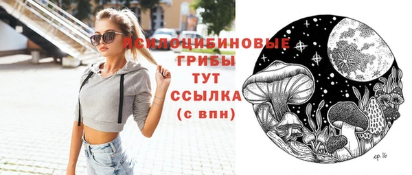 сатива Верхний Тагил