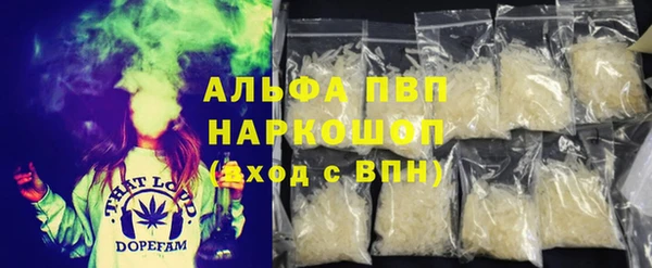 тгк Бородино