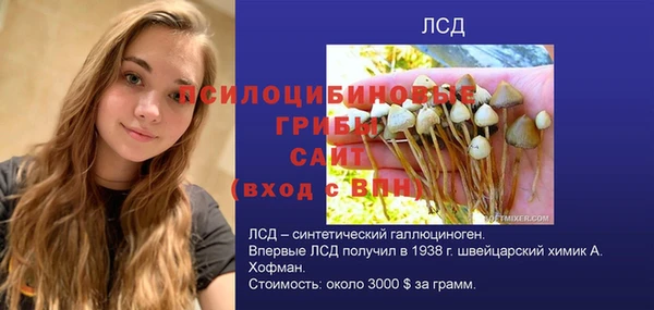 mdpv Верея